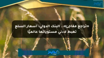 «تراجع مفاجئ».. البنك الدولي: أسعار السلع تهبط لأدنى مستوياتها عالميًا